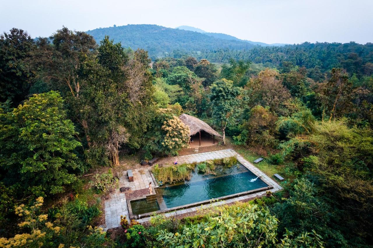 Dudhsagar Plantation Villa Cormonem Bagian luar foto