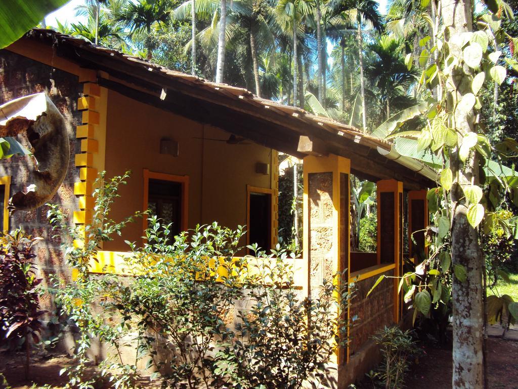 Dudhsagar Plantation Villa Cormonem Bagian luar foto