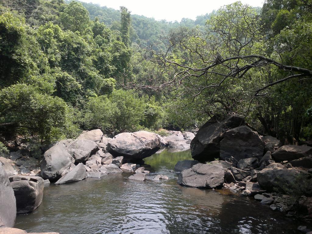 Dudhsagar Plantation Villa Cormonem Bagian luar foto