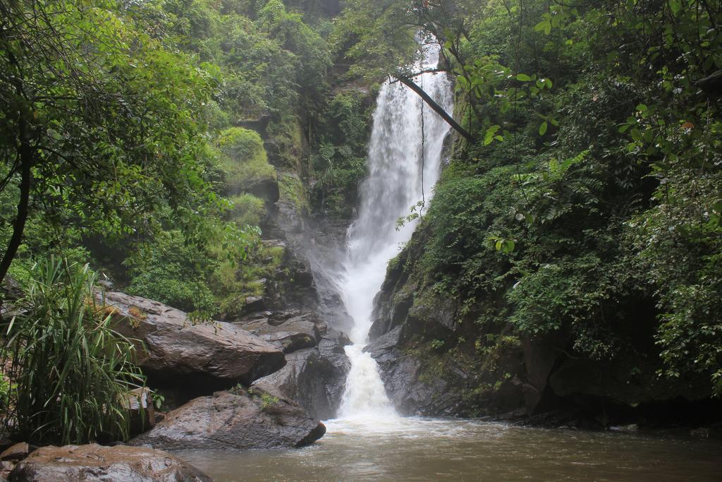 Dudhsagar Plantation Villa Cormonem Bagian luar foto