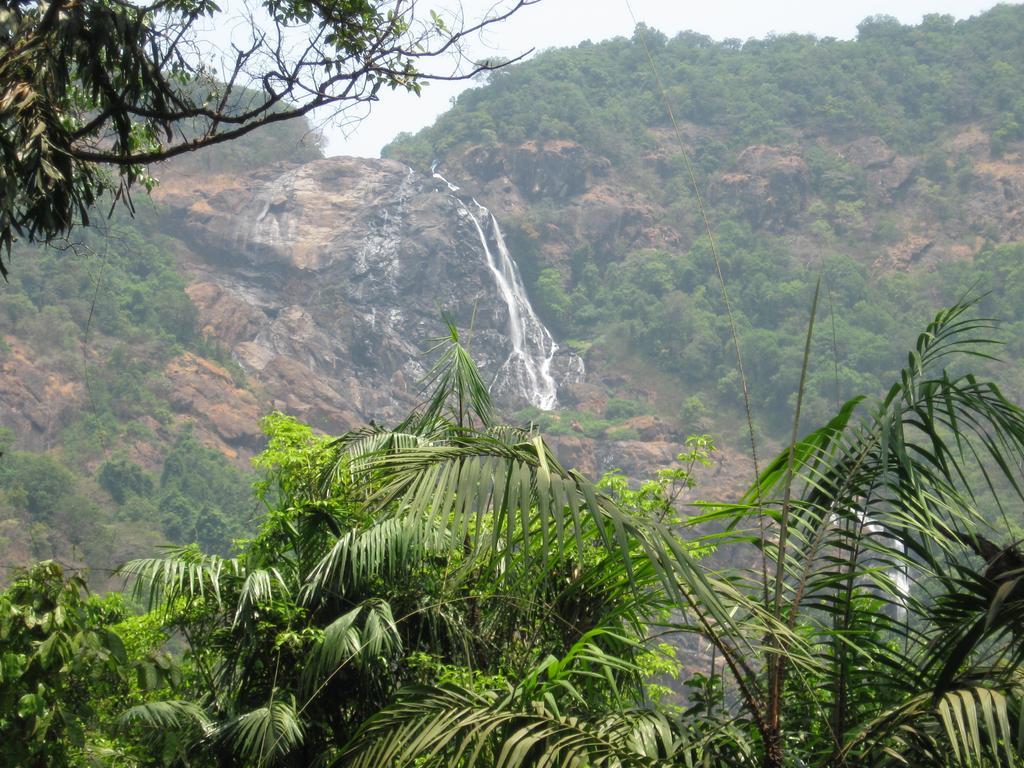 Dudhsagar Plantation Villa Cormonem Bagian luar foto