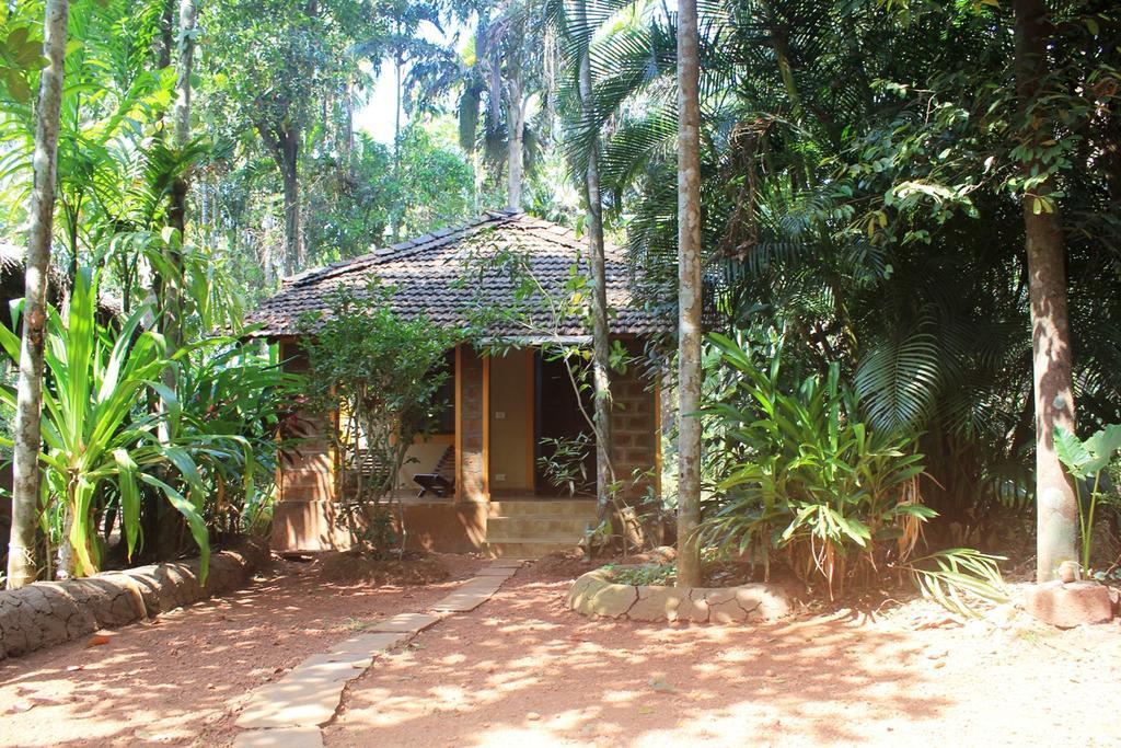 Dudhsagar Plantation Villa Cormonem Bagian luar foto