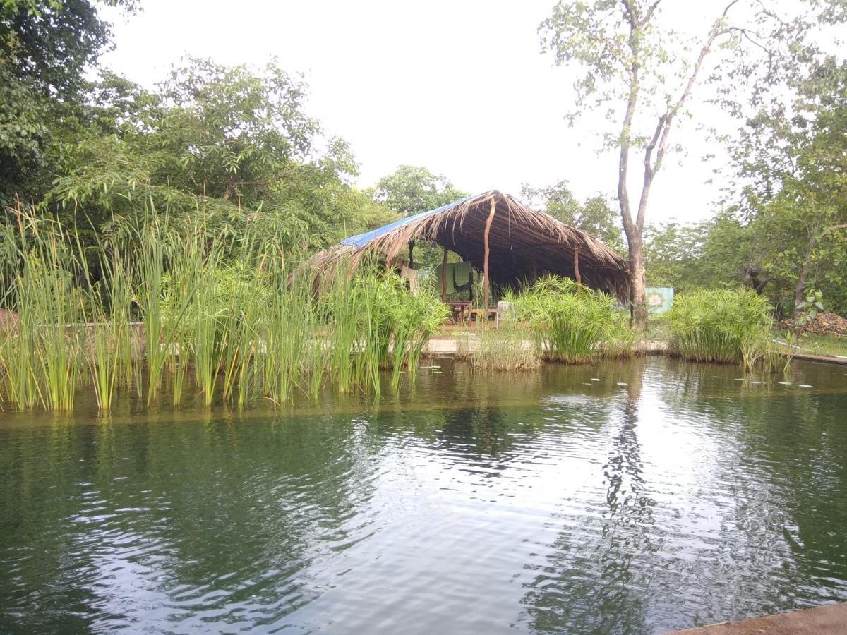 Dudhsagar Plantation Villa Cormonem Bagian luar foto