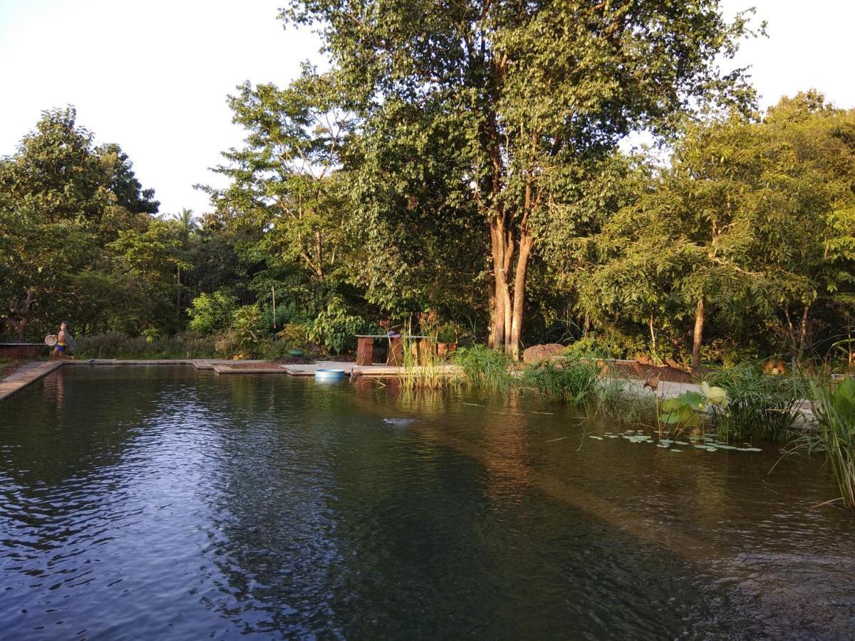 Dudhsagar Plantation Villa Cormonem Bagian luar foto